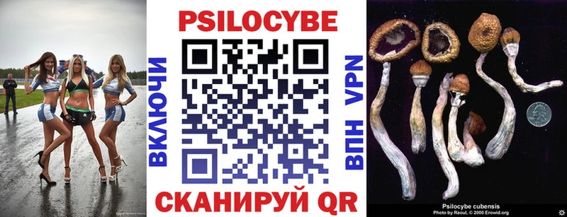 KRAKEN tor Зеленодольск Галлюциногенные грибы мицелий